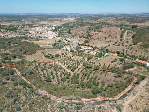 Quinta com 2,3000 hectares em vale de santiago