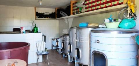 Quinta com 2,3000 hectares em vale de santiago