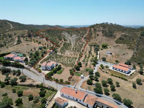 Quinta com 2,3000 hectares em vale de santiago