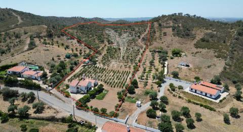 Quinta com 2,3000 hectares em vale de santiago