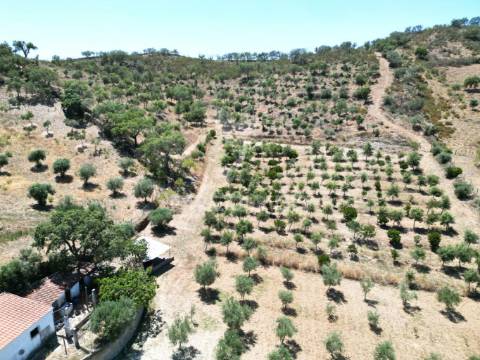 Quinta com 2,3000 hectares em vale de santiago