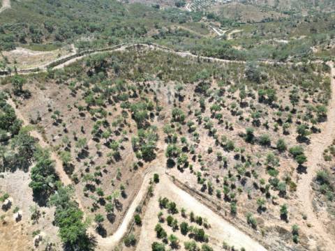 Quinta com 2,3000 hectares em vale de santiago