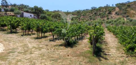 Quinta com 2,3000 hectares em vale de santiago