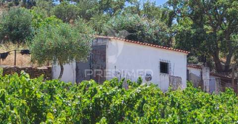 Quinta com 2,3000 hectares em vale de santiago