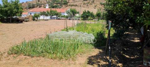 Quinta com 2,3000 hectares em vale de santiago