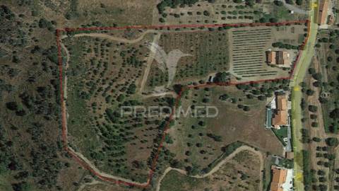 Quinta com 2,3000 hectares em vale de santiago