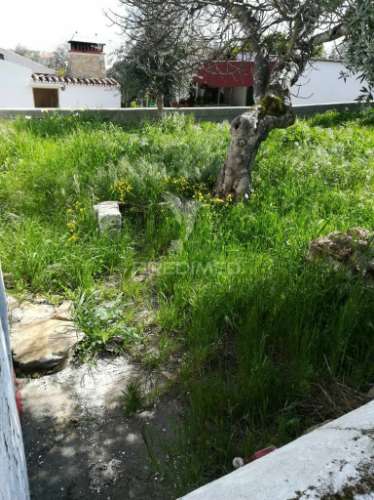 Monte meira situado na urra