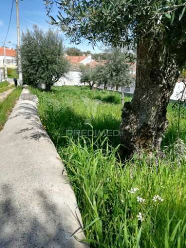 Monte meira situado na urra