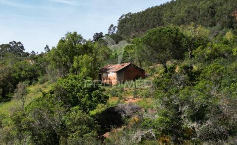 Propriedade com 20,8750 ha a 18 km da zambujeira do mar