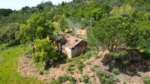 Propriedade com 20,8750 ha a 18 km da zambujeira do mar