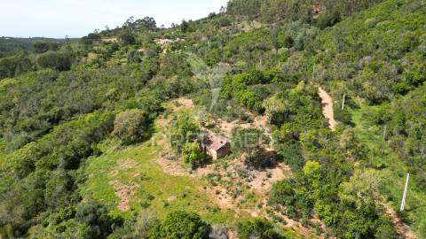 Propriedade com 20,8750 ha a 18 km da zambujeira do mar