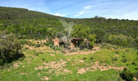 Propriedade com 20,8750 ha a 18 km da zambujeira do mar