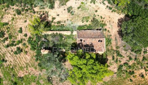 Propriedade com 20,8750 ha a 18 km da zambujeira do mar