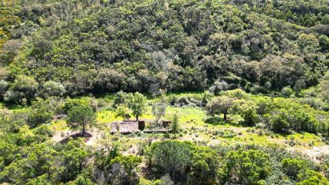 Propriedade com 20,8750 ha a 18 km da zambujeira do mar