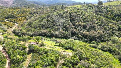 Propriedade com 20,8750 ha a 18 km da zambujeira do mar