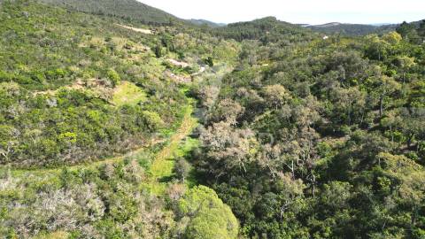 Propriedade com 20,8750 ha a 18 km da zambujeira do mar