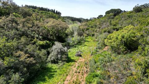Propriedade com 20,8750 ha a 18 km da zambujeira do mar