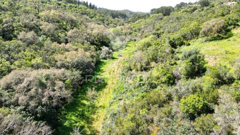 Propriedade com 20,8750 ha a 18 km da zambujeira do mar