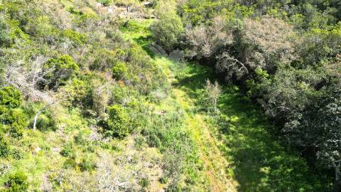 Propriedade com 20,8750 ha a 18 km da zambujeira do mar