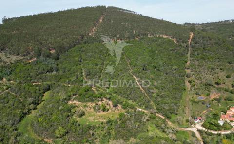 Propriedade com 20,8750 ha a 18 km da zambujeira do mar