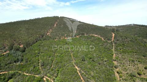 Propriedade com 20,8750 ha a 18 km da zambujeira do mar
