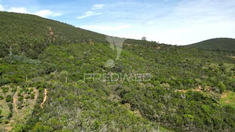 Propriedade com 20,8750 ha a 18 km da zambujeira do mar