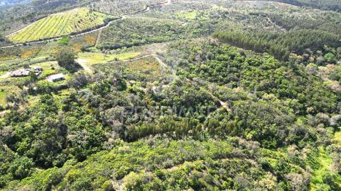 Propriedade com 20,8750 ha a 18 km da zambujeira do mar