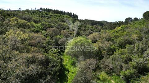Propriedade com 20,8750 ha a 18 km da zambujeira do mar