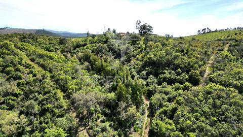 Propriedade com 20,8750 ha a 18 km da zambujeira do mar