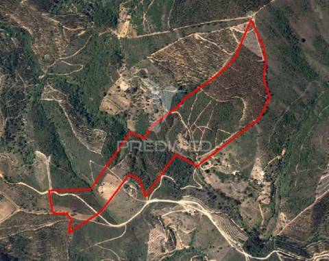 Propriedade com 20,8750 ha a 18 km da zambujeira do mar
