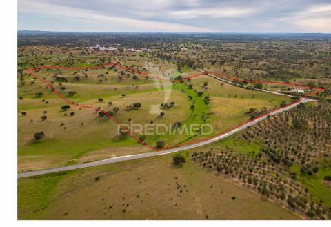 Herdade com monte alentejano - serpa