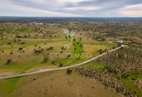 Herdade com monte alentejano - serpa
