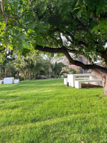 Ilha da madeira - apartamento com vista mar  / madeira island - apartment with sea view