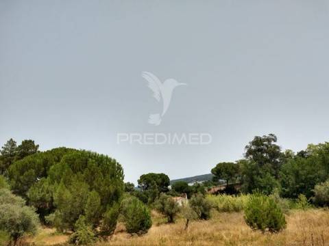 Terreno rústico com 3750m2 em montargil