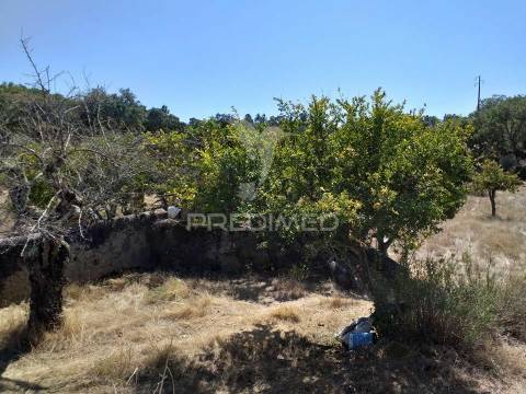 Saiba mais sobre este fantástico imóvel. 