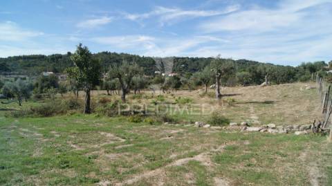 Terreno rústico reguengo- portalegre