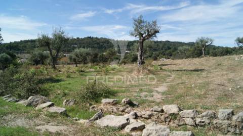 Terreno rústico reguengo- portalegre