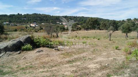 Terreno rústico reguengo- portalegre