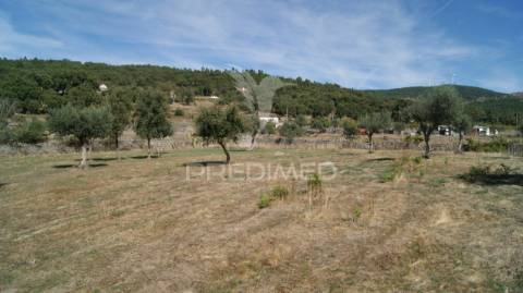 Terreno rústico reguengo- portalegre
