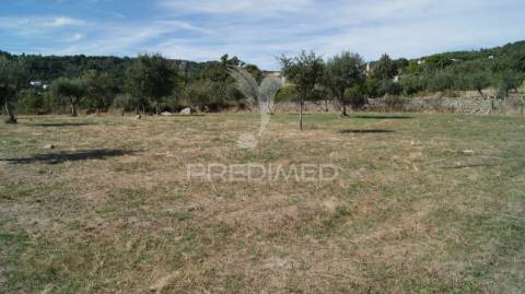 Terreno rústico reguengo- portalegre