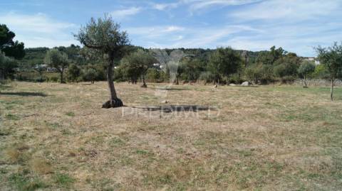 Terreno rústico reguengo- portalegre