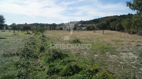 Terreno rústico reguengo- portalegre