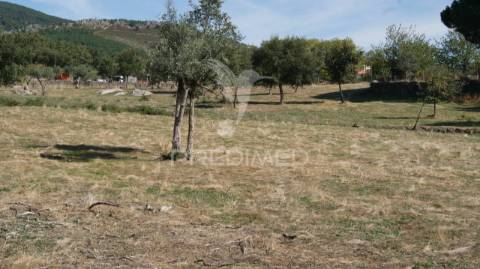 Terreno rústico reguengo- portalegre