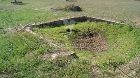 Terreno rústico reguengo- portalegre