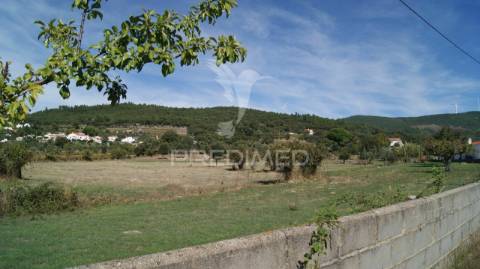Terreno rústico reguengo- portalegre
