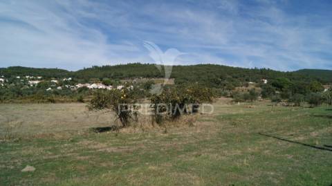 Terreno rústico reguengo- portalegre