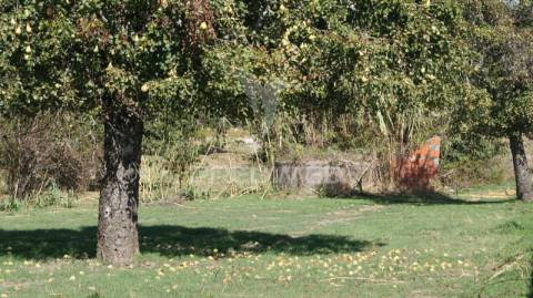 Terreno rústico reguengo- portalegre