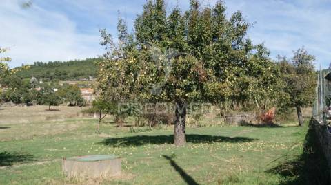Terreno rústico reguengo- portalegre