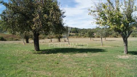 Terreno rústico reguengo- portalegre