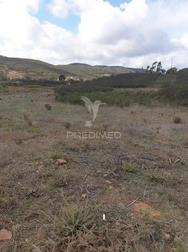 Terreno rústico com grande potencial